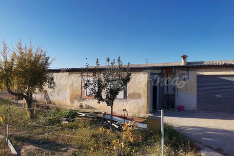 Landejendom i Yecla, Murcia, Yecla - € 155.000 | Ref: SF0370 - foto 15